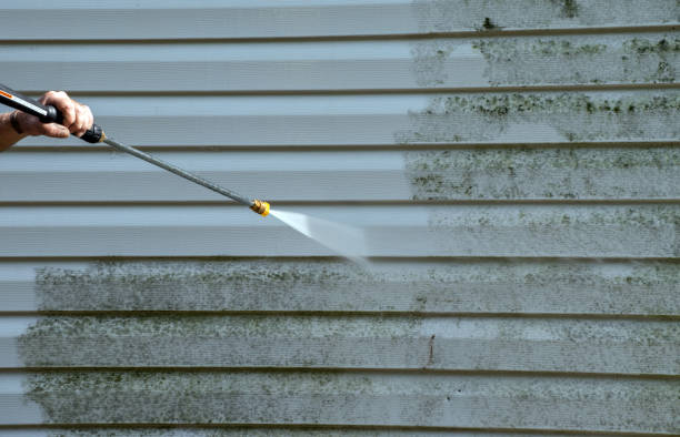 Best Roof Washing  in East Mountain, TX